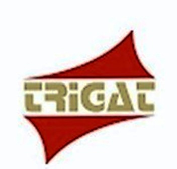company-details